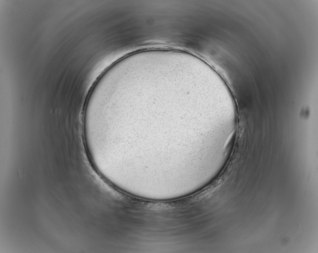 X0000089931239200707271751