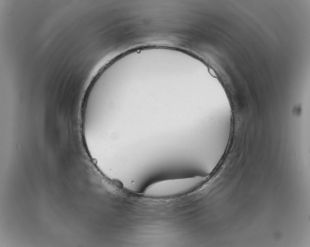 X0000089931240200707271751