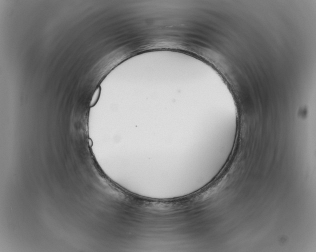 X0000089931241200707271751