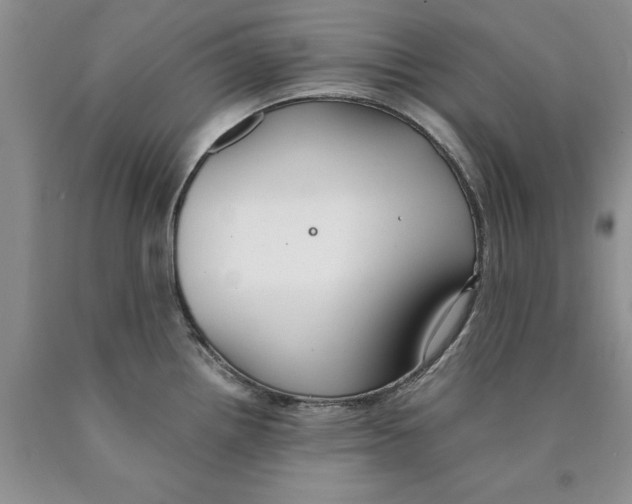 X0000089931242200707271751