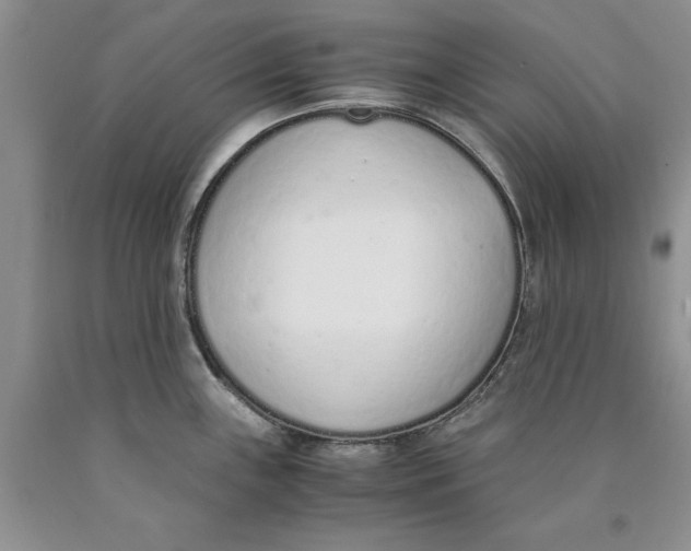 X0000089931243200707271751