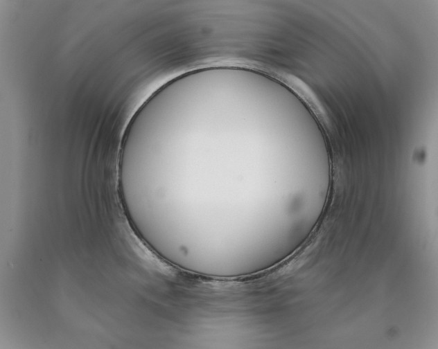 X0000089931244200707271751