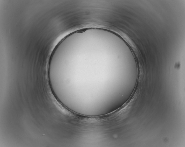 X0000089931246200707271751