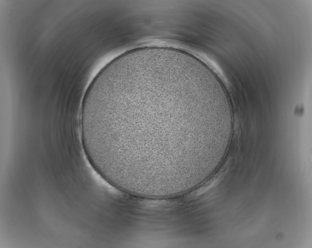 X0000089931247200707271751