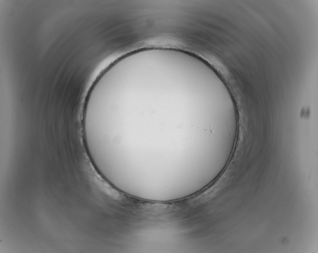 X0000089931248200707271751