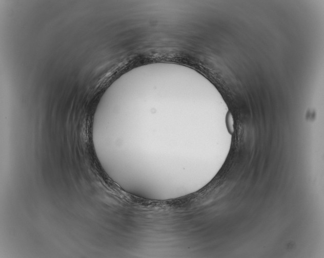 X0000089931250200707271750