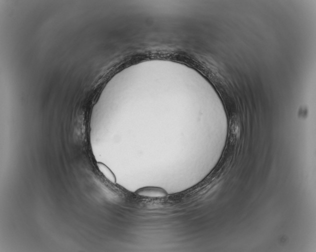 X0000089931252200707271750