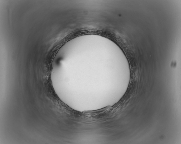 X0000089931253200707271750