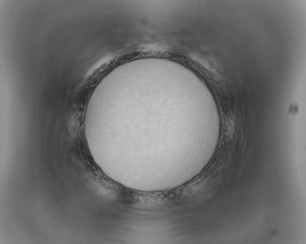 X0000089931254200707271750