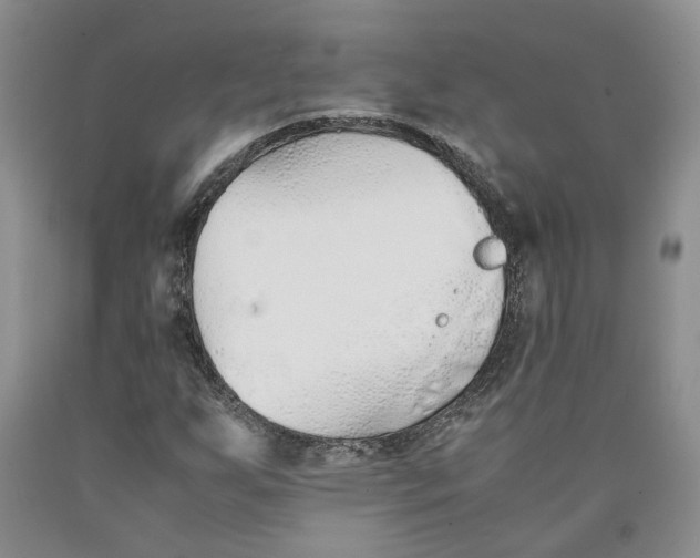 X0000089931255200707271750