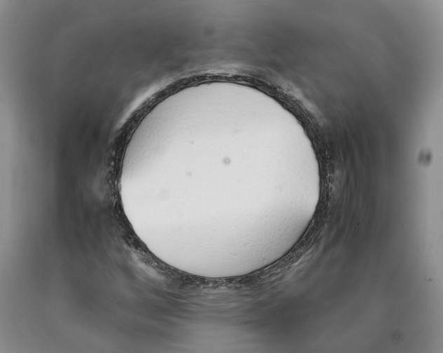 X0000089931256200707271750