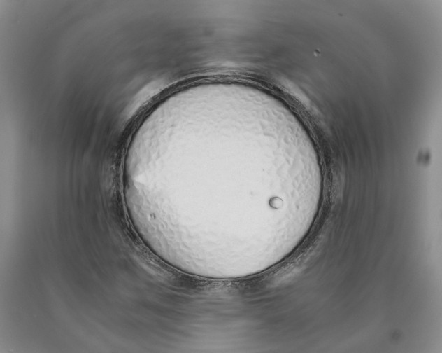 X0000089931259200707271750