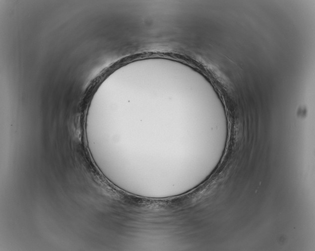 X0000089931262200707271750