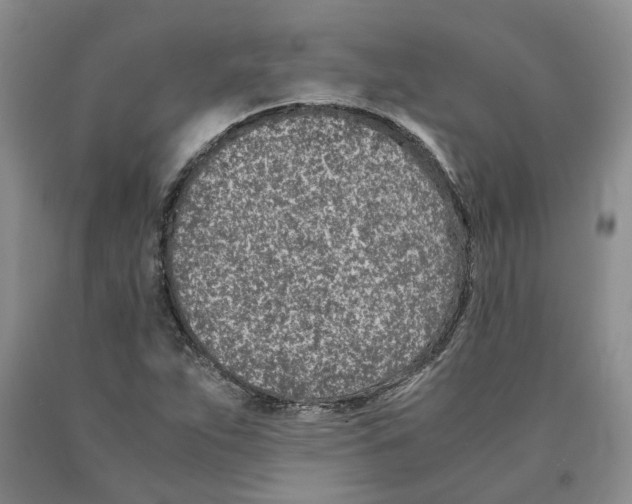 X0000089931263200707271750