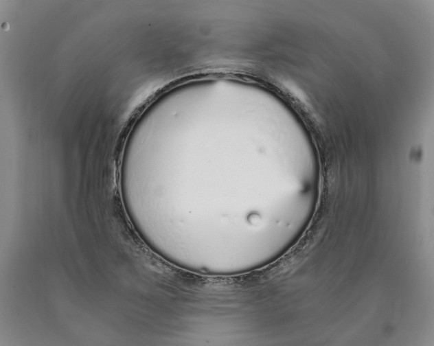 X0000089931267200707271750