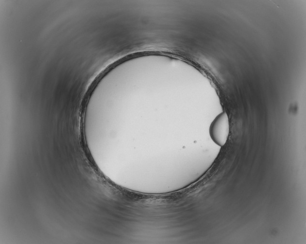 X0000089931268200707271750