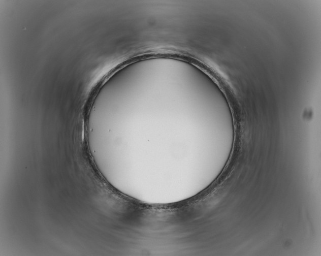 X0000089931269200707271750