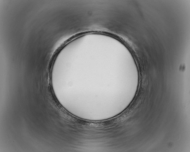 X0000089931271200707271750