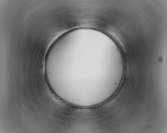 X0000089931276200707271750