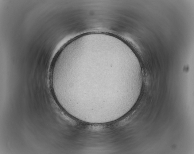 X0000089931278200707271750