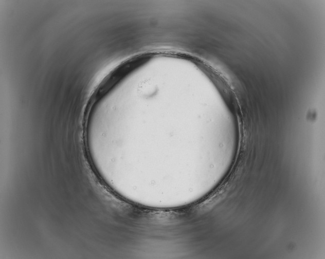 X0000089931279200707271749