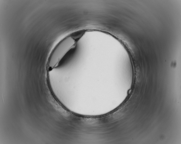 X0000089931280200707271749