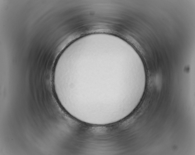 X0000089931282200707271749