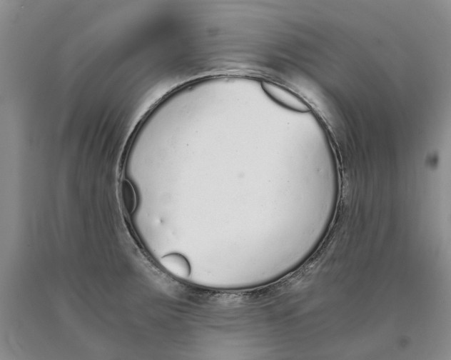 X0000089931283200707271749