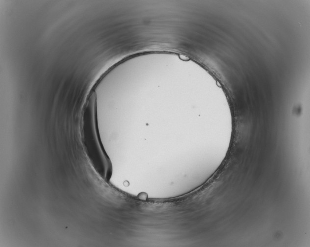 X0000089931284200707271749