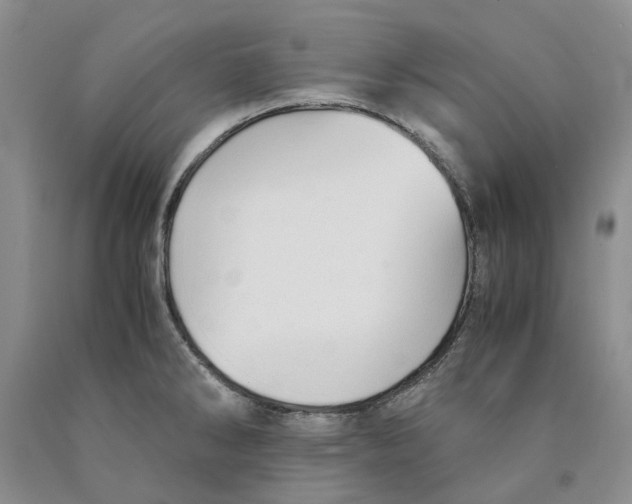 X0000089931286200707271749