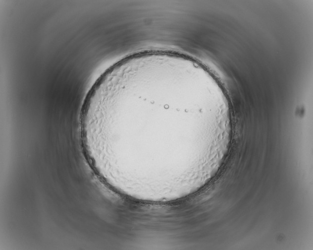 X0000089931287200707271749