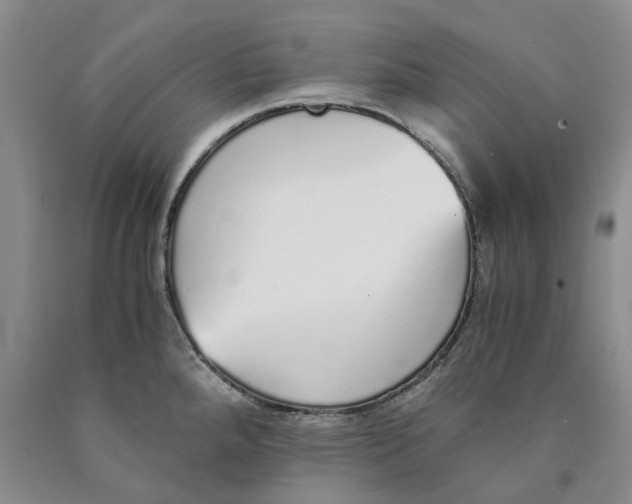 X0000089931288200707271749