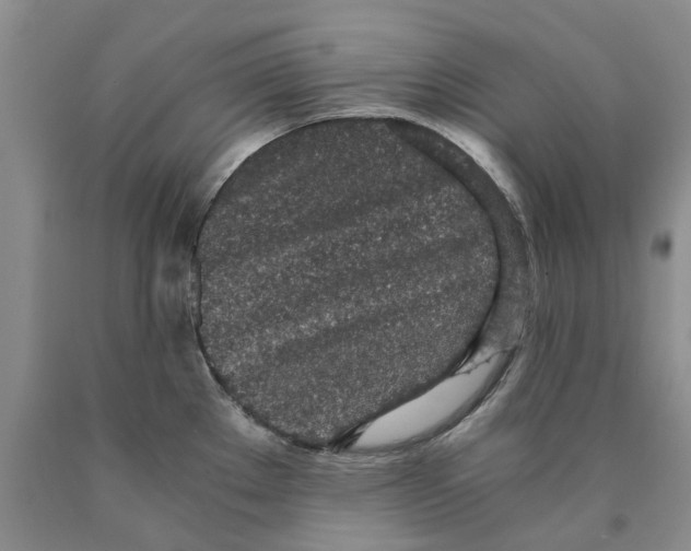 X0000089931289200707271749