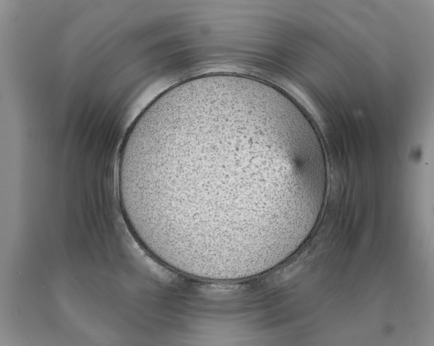 X0000089931290200707271749