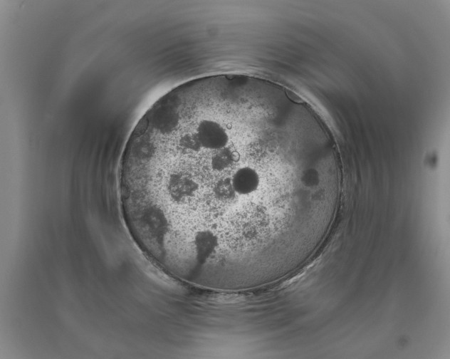 X0000089931291200707271749