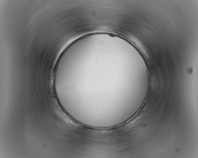 X0000089931292200707271749