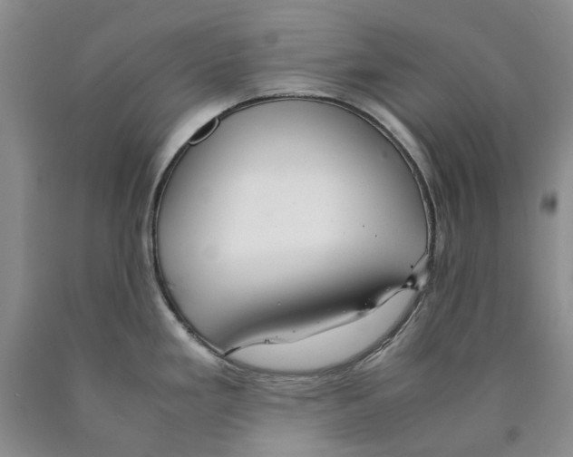 X0000089931293200707271749