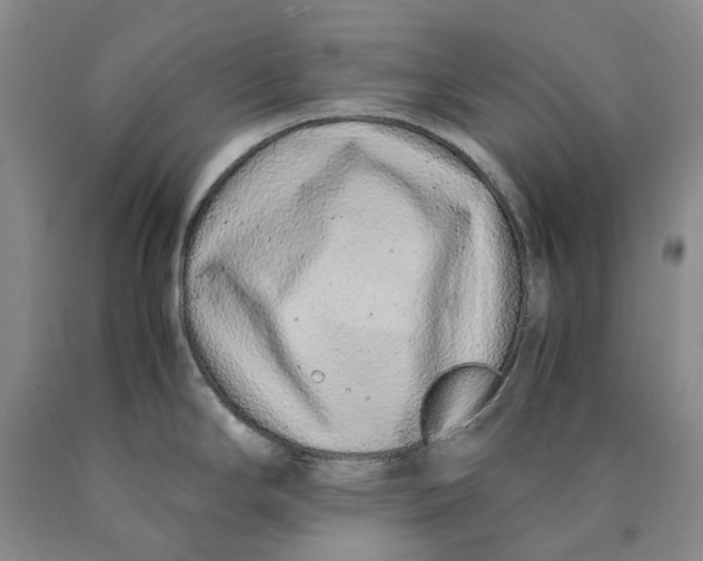 X0000089931294200707271749