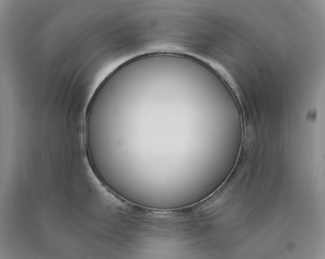 X0000089931295200707271749