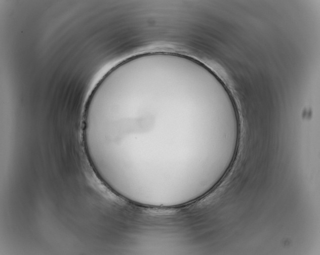 X0000089931296200707271749