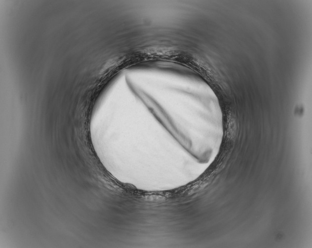 X0000089931297200707271749