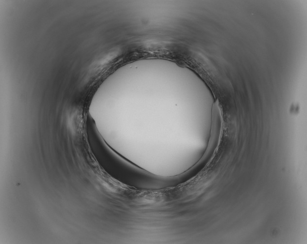 X0000089931298200707271749