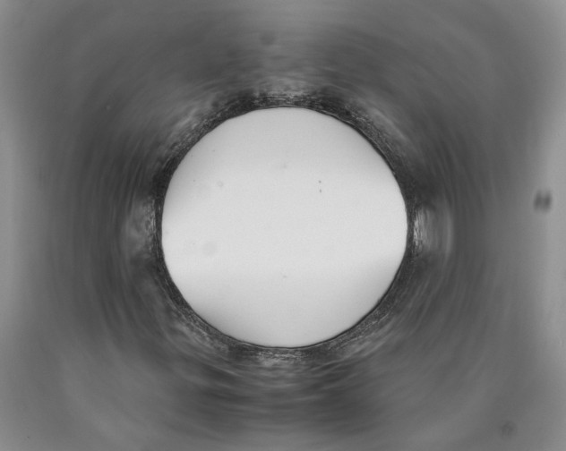 X0000089931299200707271749