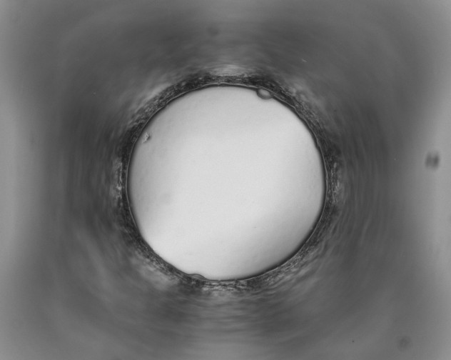 X0000089931301200707271749