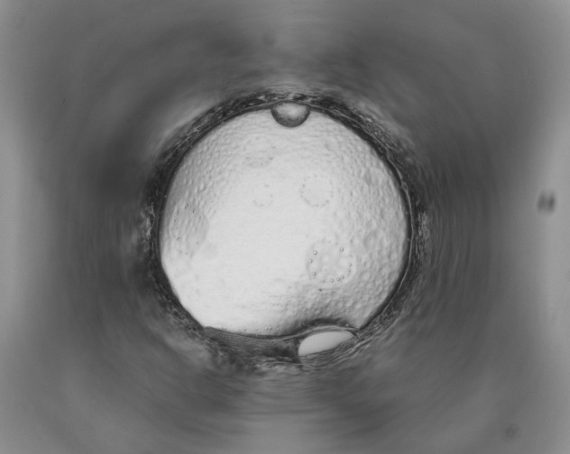 X0000089931302200707271749