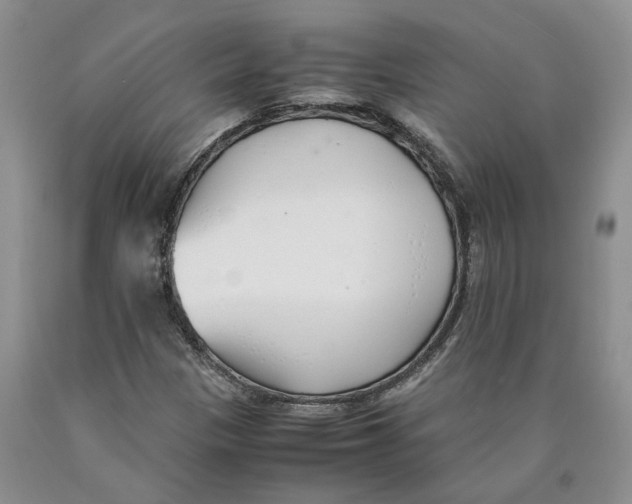 X0000089931305200707271749