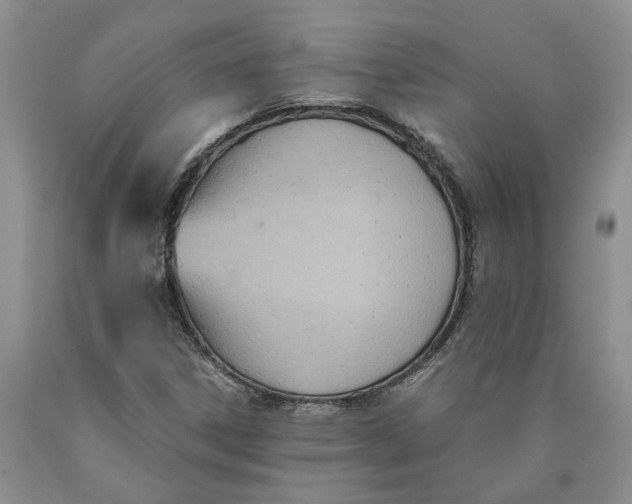 X0000089931306200707271749