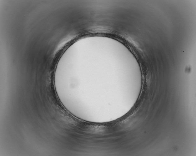 X0000089931309200707271749