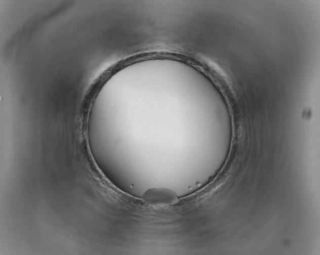 X0000089931310200707271749