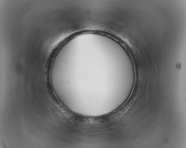 X0000089931311200707271749